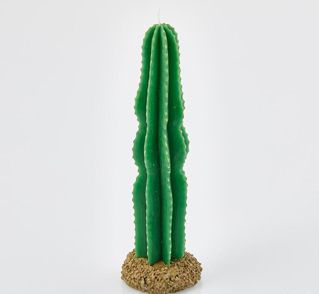 Cactus Candle