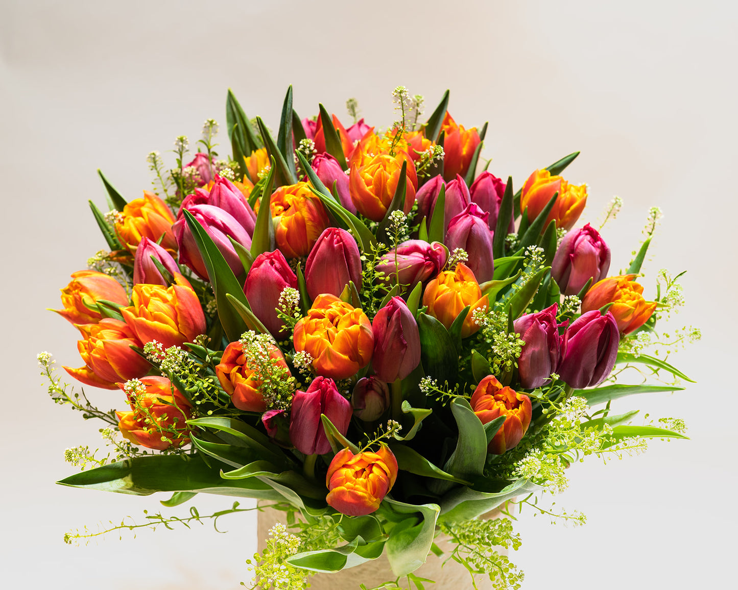 Mixed Tulips