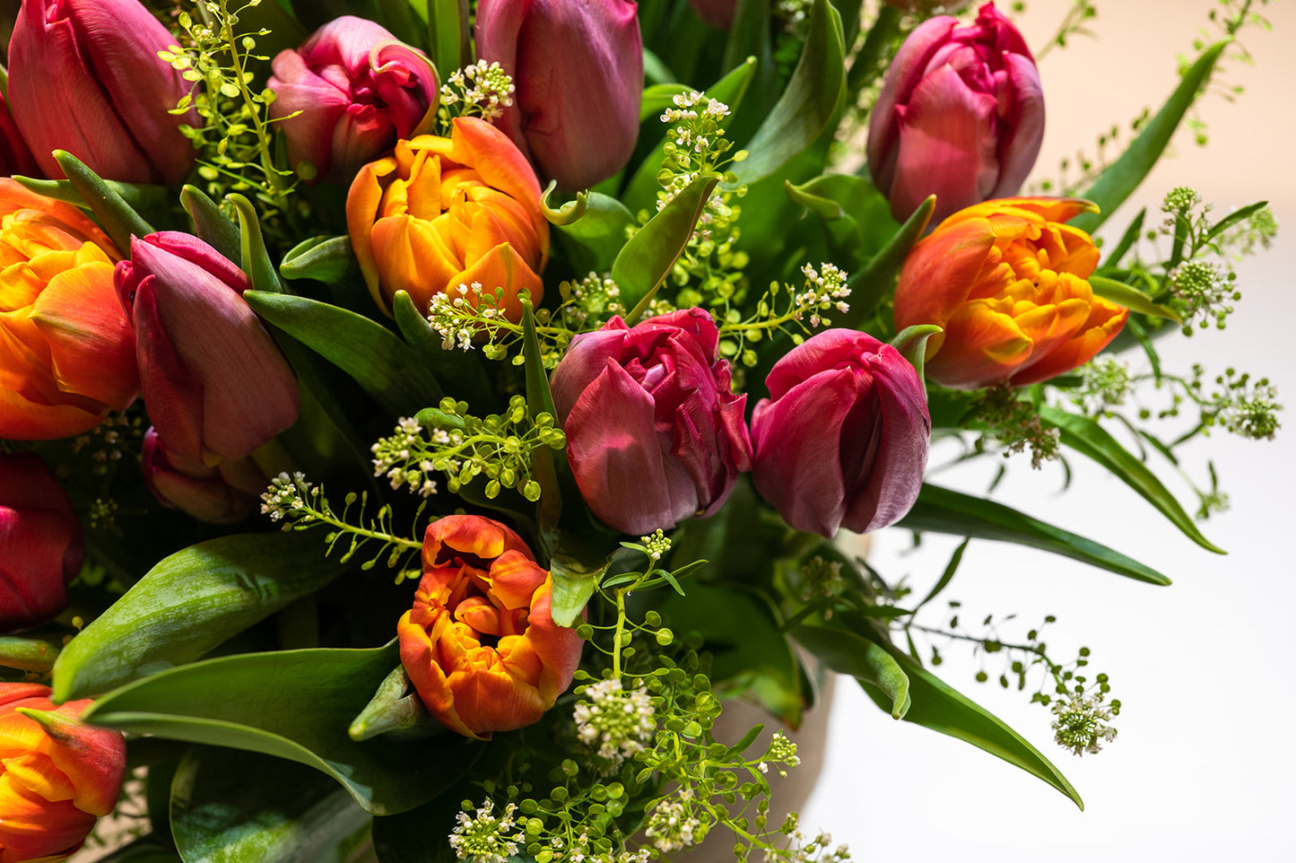 Mixed Tulips