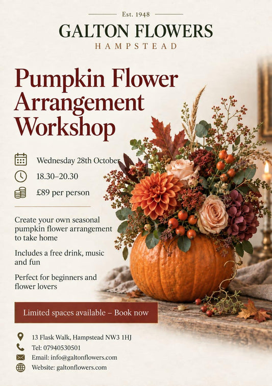 Make a Halloween arrangement with Sayeh & Galton Flowers