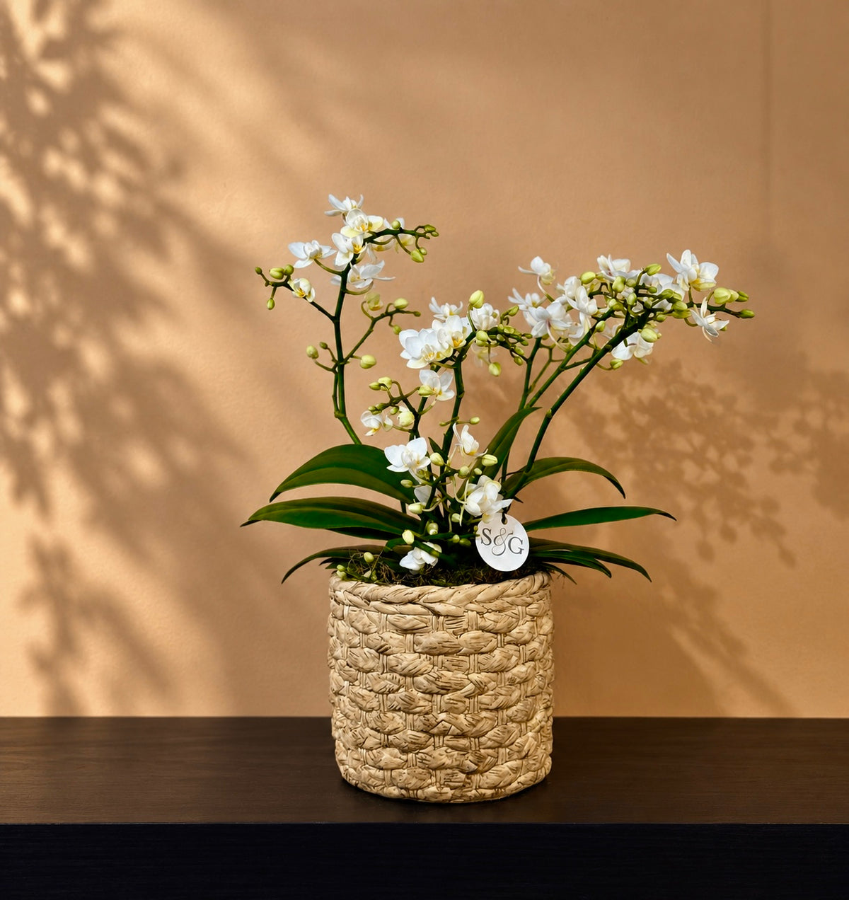 Woven Texture Pot