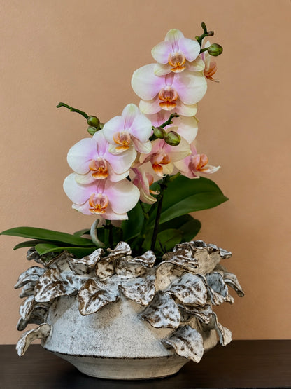 Cascading Petal Pot